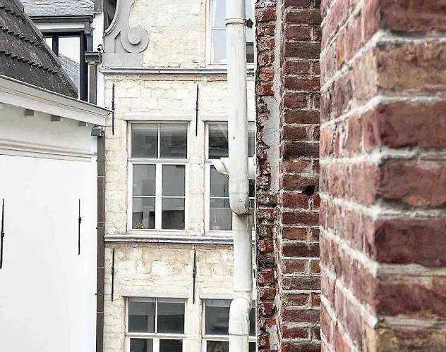 Casa Amor